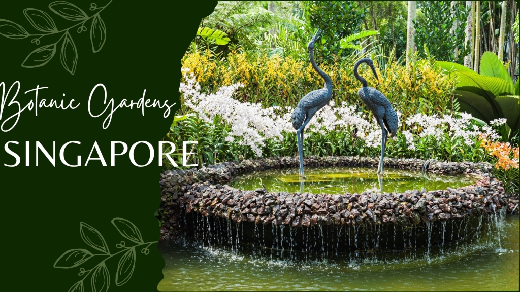 Exploring the Singapore Botanic Gardens