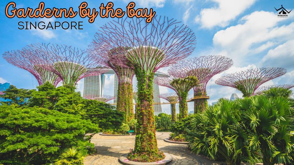 Discover the Magic of Gardens by the Bay