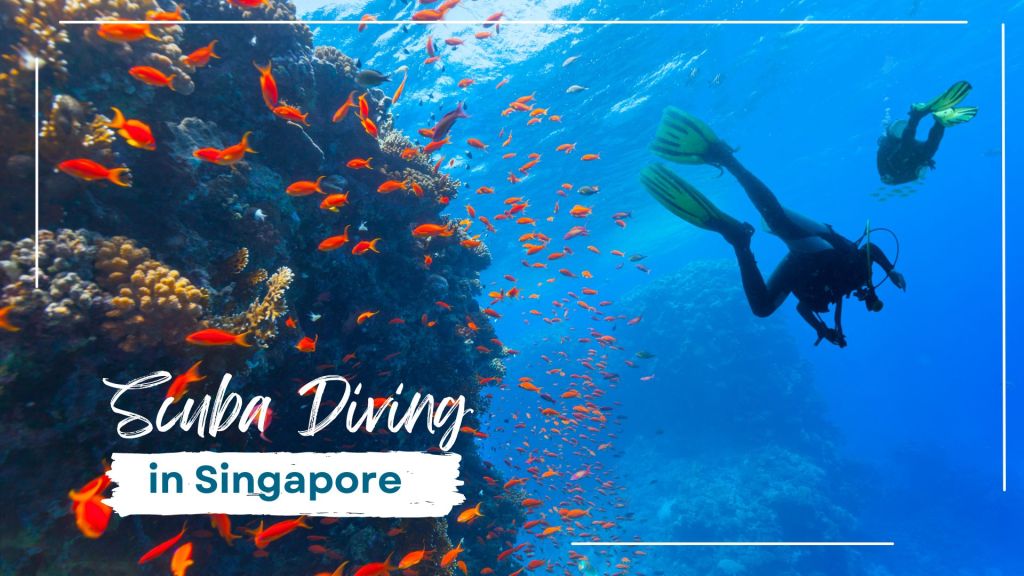 Exploring the Depths: Scuba Diving in Singapore